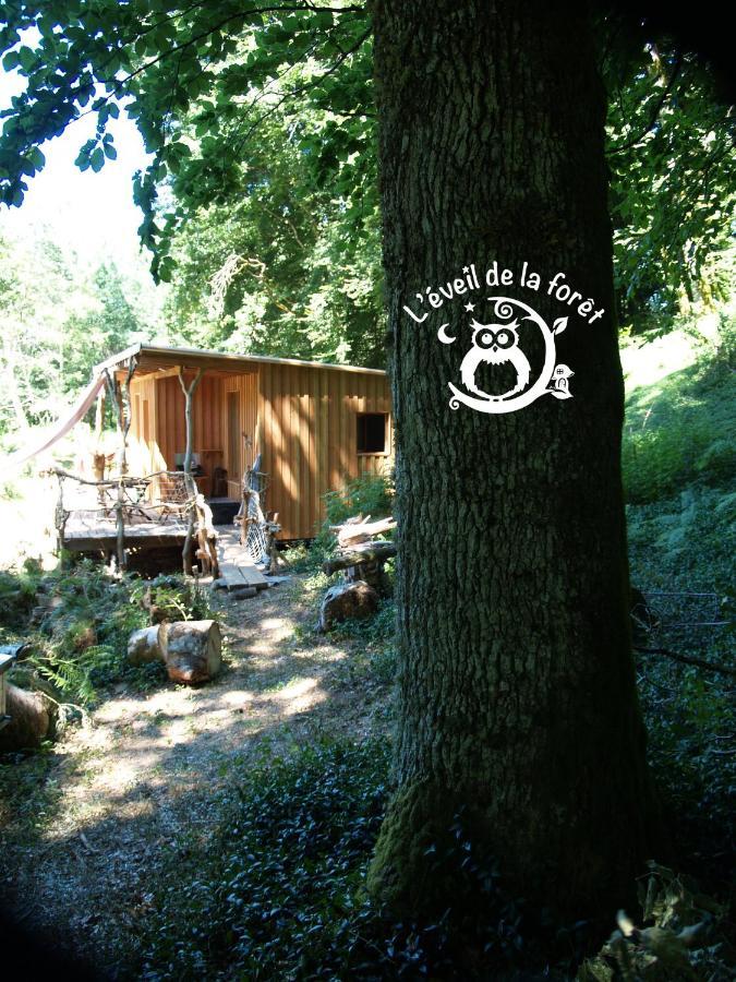 Gite Nature Au Pied Des Hetres Vitrac-sur-Montane 외부 사진