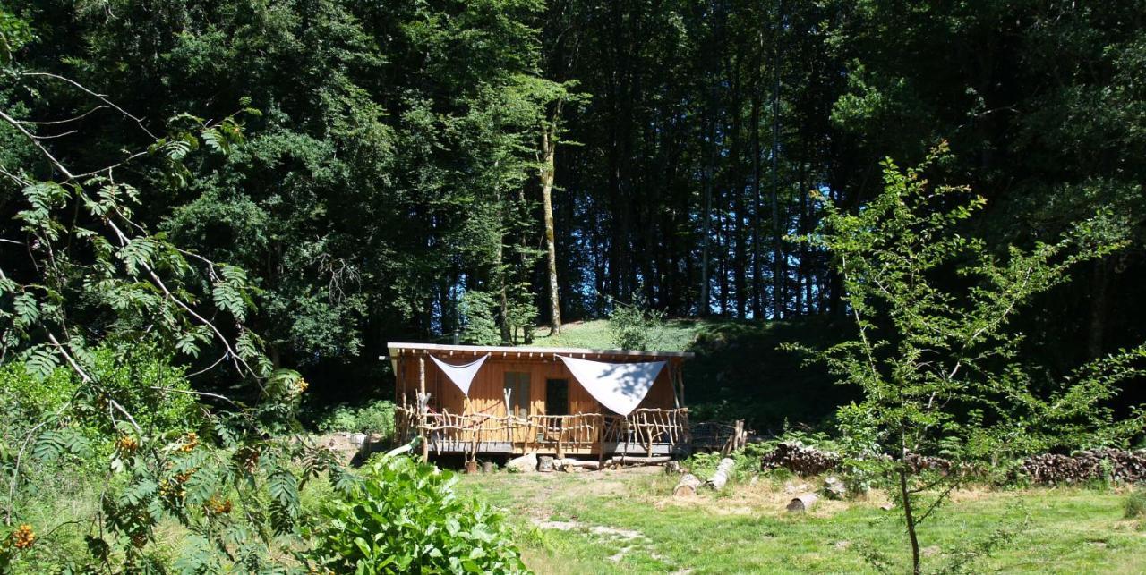 Gite Nature Au Pied Des Hetres Vitrac-sur-Montane 외부 사진